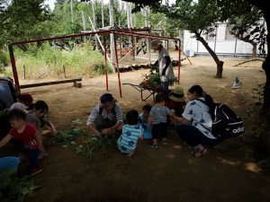 IMG_20180726_2510