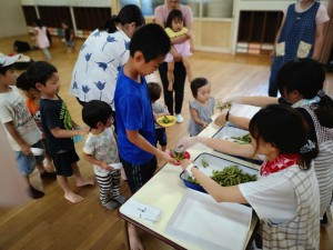 IMG_20180726_42527