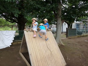 IMG_20180730_20683