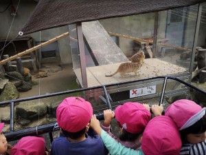 IMG_20181018_32722