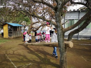 IMG_20181019_52839