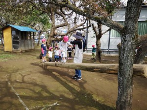 IMG_20181019_9249