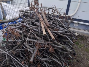 IMG_20181123_51929