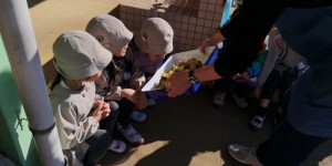 IMG_20181220_50462