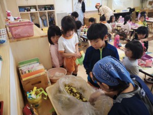 IMG_20191119_19361