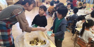 IMG_20191119_52749