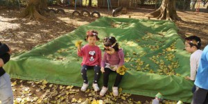 IMG_20191212_21495