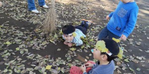 IMG_20191212_55903