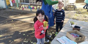 IMG_20191212_56182