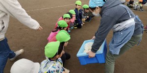 IMG_20191219_20805