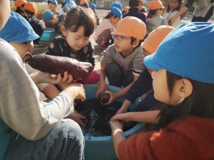 IMG_20191220_094259