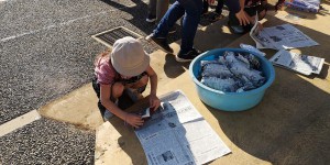 IMG_20191220_094817