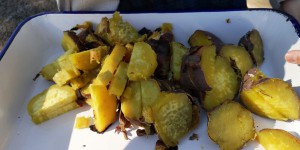 IMG_20191220_111648