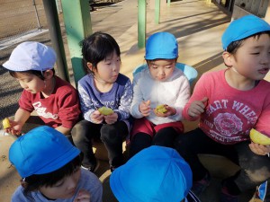 IMG_20191220_111842