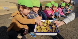 IMG_20191220_112652