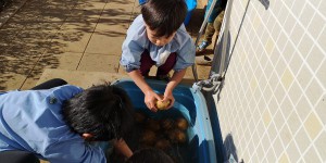 IMG_20200205_092235