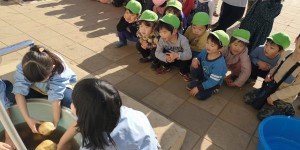 IMG_20200205_092314
