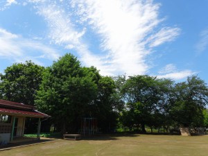 DSC02254