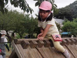 DSC00655
