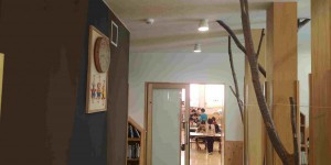 gIMG_20201111_081927