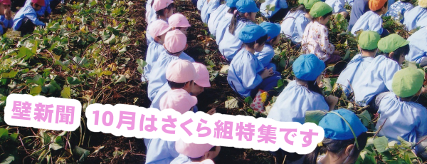 くりの木壁新聞　１０月さくら組特集