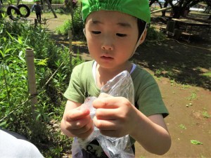 g戸外遊び (5)