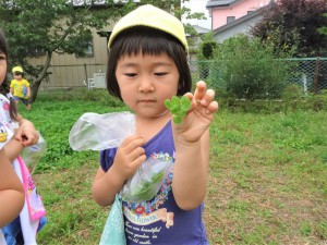 gクローバー (1)