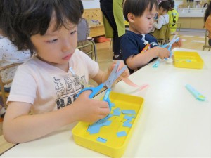 g少はさみ (18)