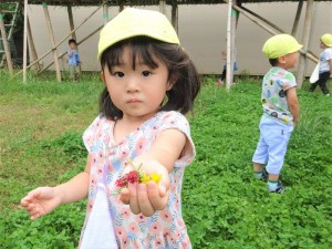 g少遊具自然 (4)