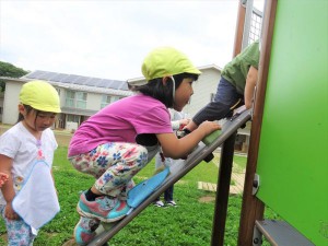 g少遊具自然 (5)