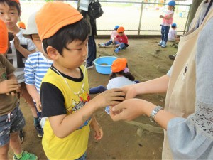 g長だんご (9)