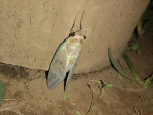 gIMG_20210724_210407