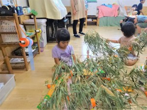 gほし (1)