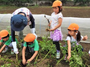 g長じゃが (10)