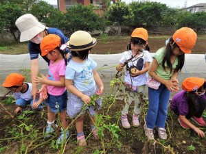 g長じゃが (12)