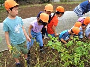 g長じゃが (4)