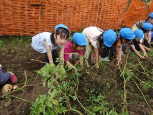 g長じゃが (9)