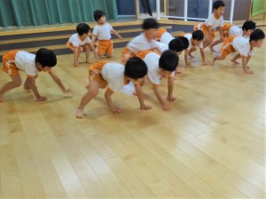 g少体育１ (4)