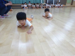 g少体育 (11)