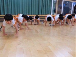 g少体育 (3)