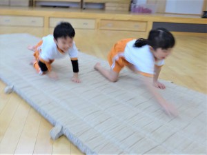 g中体育 (13)