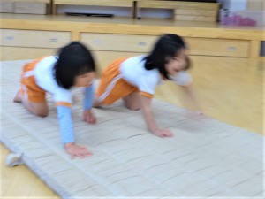 g中体育 (14)