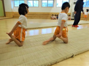 g中体育 (5)