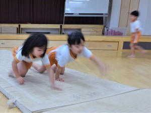 g中体育 (6)