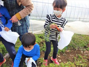 g長にんじん (11)