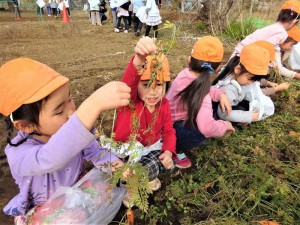 g長にんじん (7)