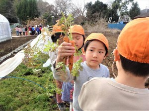 g長にんじん (8)
