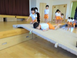 g少体育 (5)