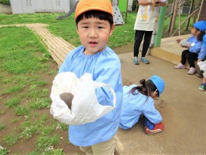 gだんご (15)