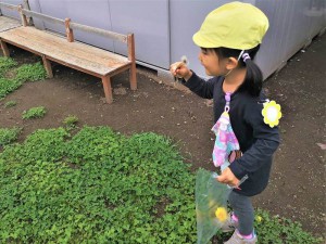 g戸外 (4)